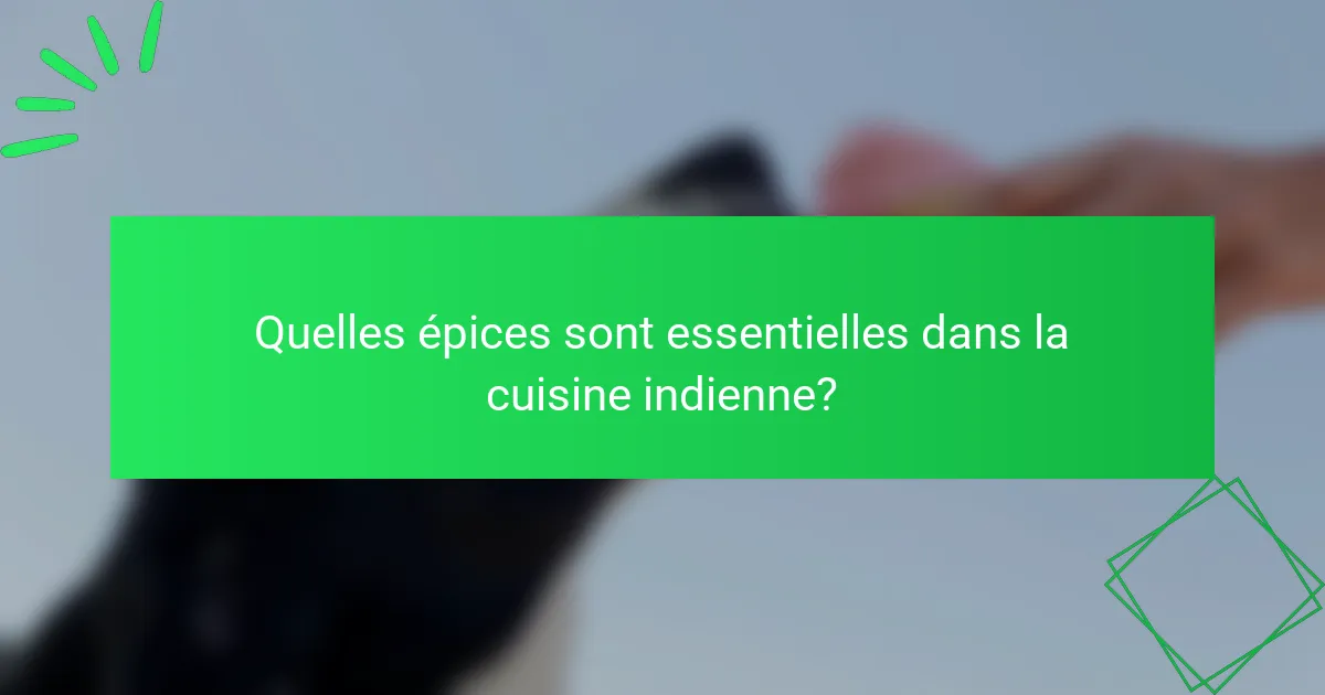 Quelles épices sont essentielles dans la cuisine indienne?